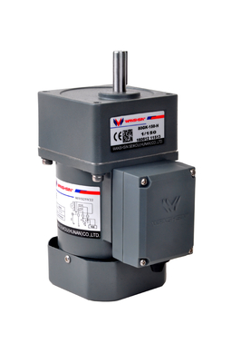 एसी 6 - 250W 220V कन्वेयर बेल्ट के लिए कॉम्पैक्ट गियर वाली मोटर
